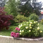 Penzion Sobe Ravbar Novo Mesto