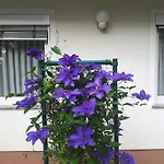 Penzion Sobe Ravbar