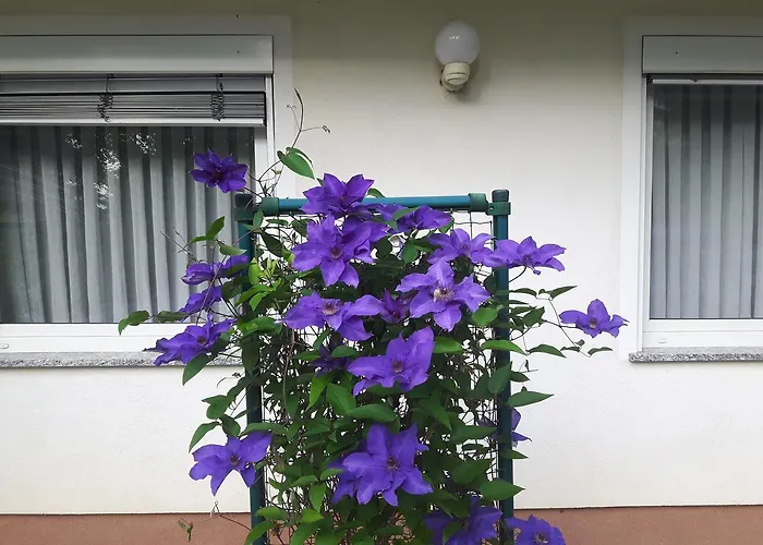 Pensjonat Sobe Ravbar